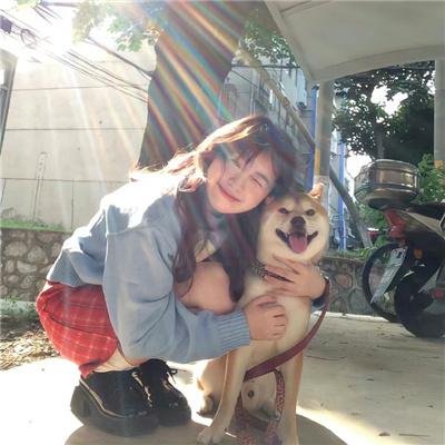 白色相簿第二季